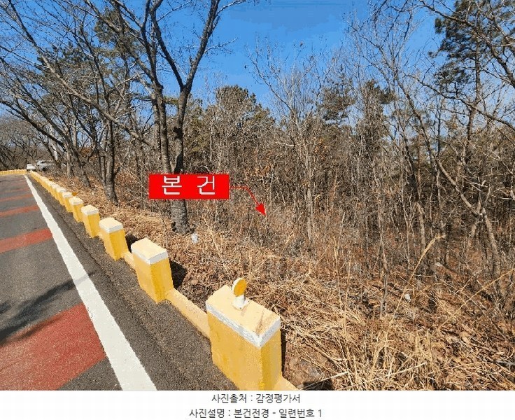 2025타경508083 인천광역시 옹진군 북도면 장봉리 산57-1 임야 경매 이미지