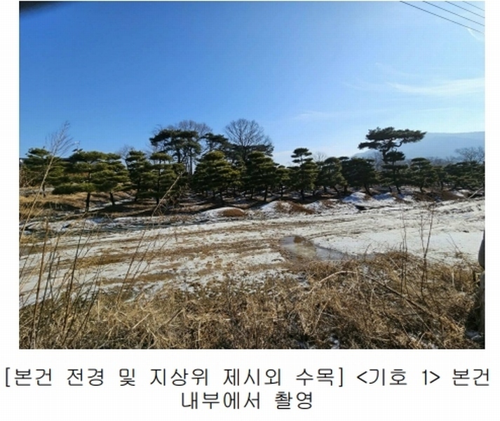 2023타경18081 인천광역시 강화군 양도면 인산리 8-2 농지 경매 이미지