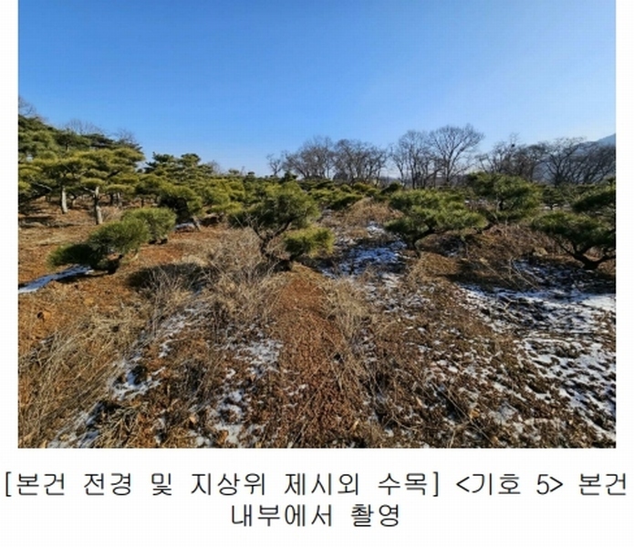 2023타경18081 인천광역시 강화군 양도면 인산리 8-2 농지 경매 이미지