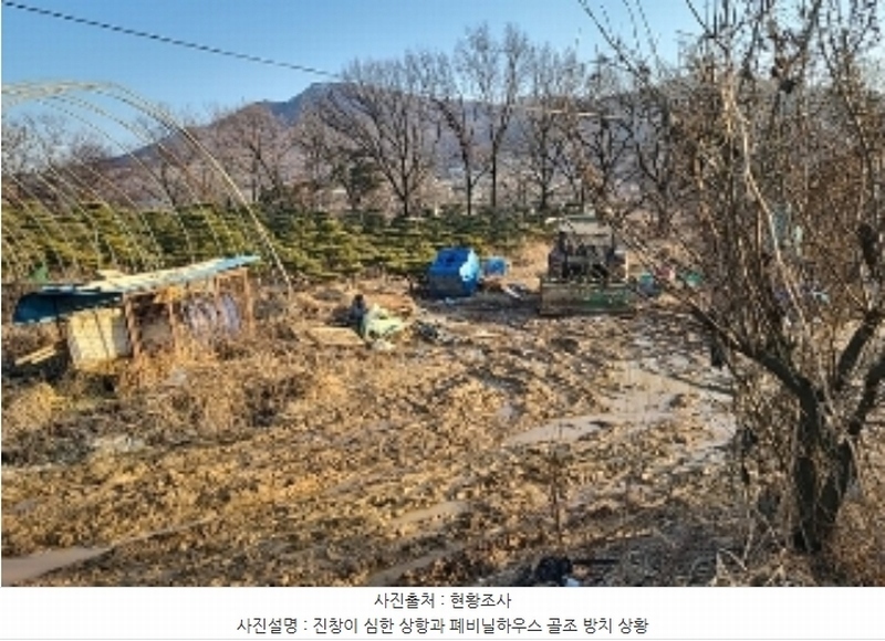 2023타경18081 인천광역시 강화군 양도면 인산리 8-2 농지 경매 이미지