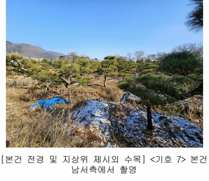 2023타경18081 인천광역시 강화군 양도면 인산리 8-2 농지 경매 이미지