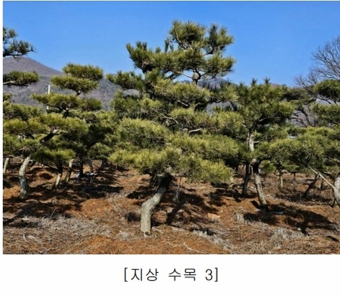 2023타경18081 인천광역시 강화군 양도면 인산리 8-2 농지 경매 이미지