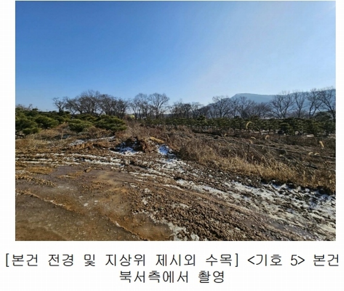 2023타경18081 인천광역시 강화군 양도면 인산리 8-2 농지 경매 이미지