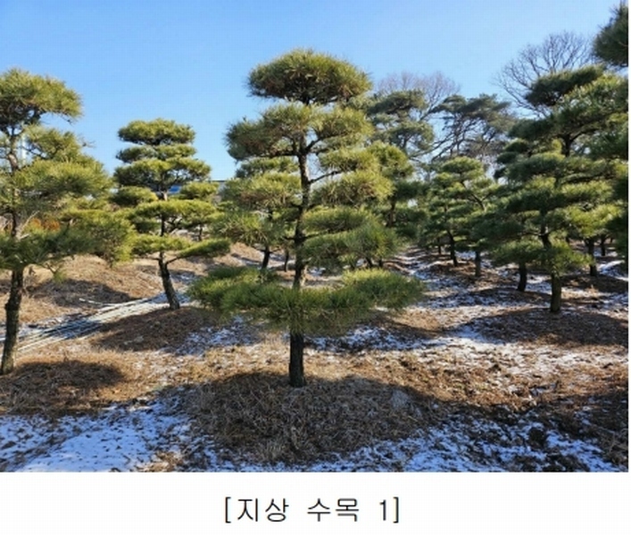 2023타경18081 인천광역시 강화군 양도면 인산리 8-2 농지 경매 이미지