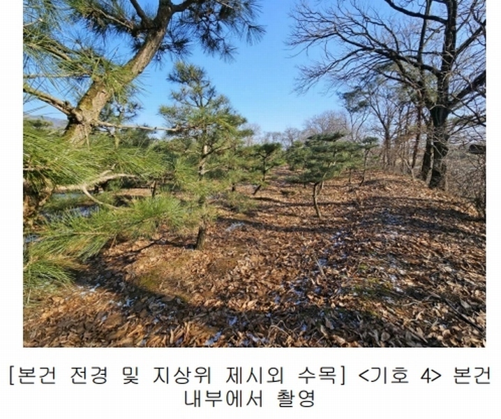 2023타경18081 인천광역시 강화군 양도면 인산리 8-2 농지 경매 이미지