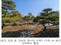 2023타경18081 인천광역시 강화군 양도면 인산리 8-2 농지 경매 이미지