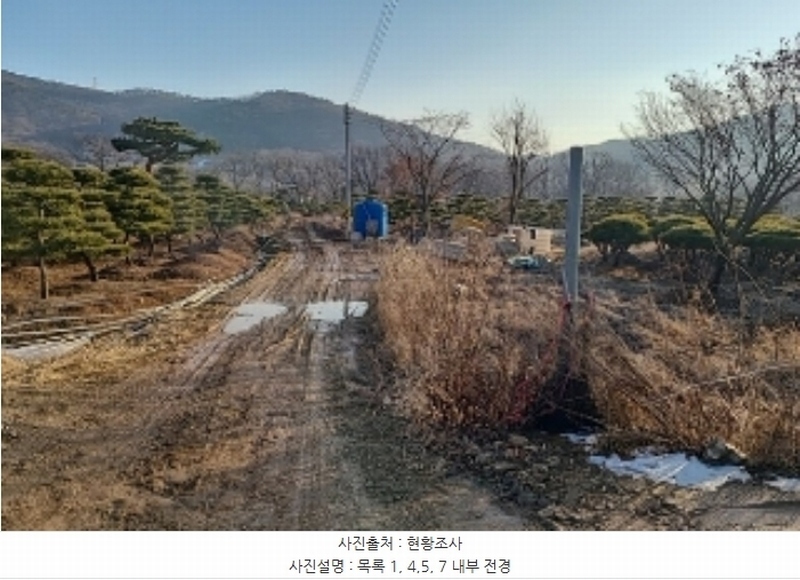 2023타경18081 인천광역시 강화군 양도면 인산리 8-2 농지 경매 이미지