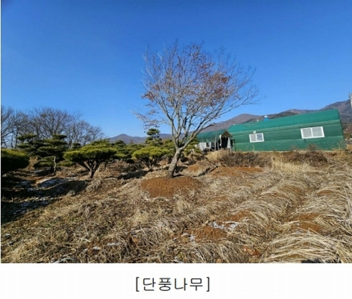2023타경18081 인천광역시 강화군 양도면 인산리 8-2 농지 경매 이미지