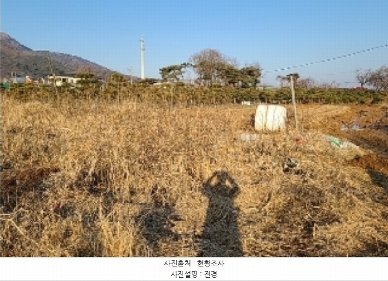 2023타경18081 인천광역시 강화군 양도면 인산리 8-2 농지 경매 이미지