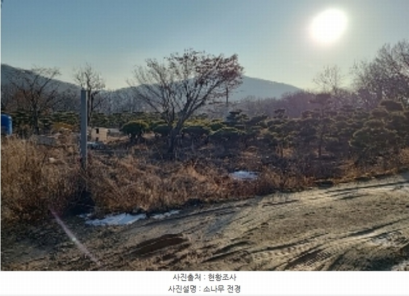 2023타경18081 인천광역시 강화군 양도면 인산리 8-2 농지 경매 이미지