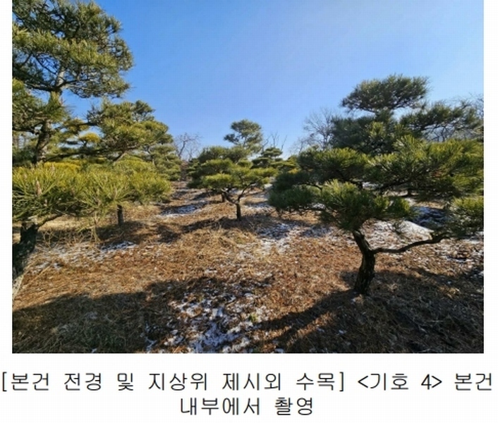 2023타경18081 인천광역시 강화군 양도면 인산리 8-2 농지 경매 이미지