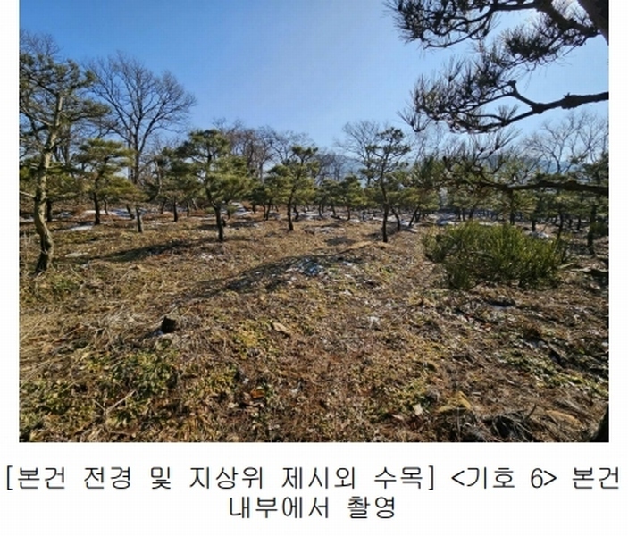 2023타경18081 인천광역시 강화군 양도면 인산리 8-2 농지 경매 이미지