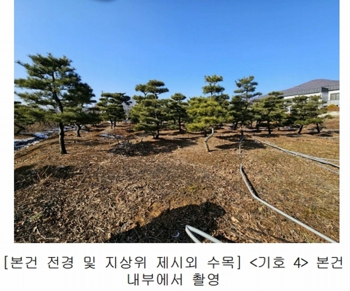 2023타경18081 인천광역시 강화군 양도면 인산리 8-2 농지 경매 이미지