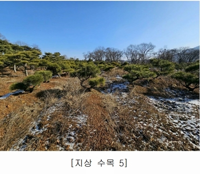 2023타경18081 인천광역시 강화군 양도면 인산리 8-2 농지 경매 이미지