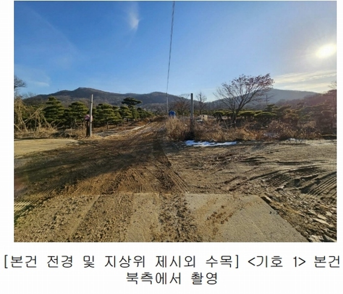 2023타경18081 인천광역시 강화군 양도면 인산리 8-2 농지 경매 이미지