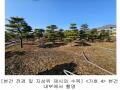 2023타경18081 인천광역시 강화군 양도면 인산리 8-2 농지 경매 이미지