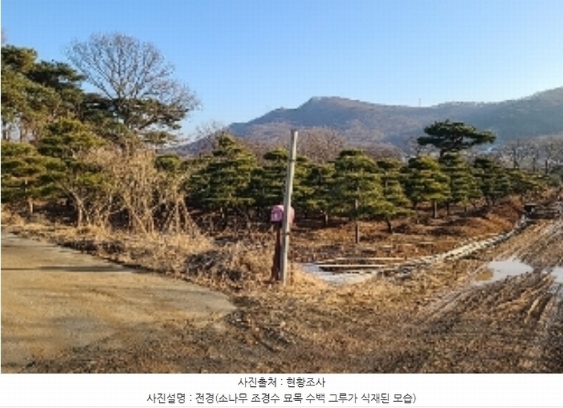 2023타경18081 인천광역시 강화군 양도면 인산리 8-2 농지 경매 이미지