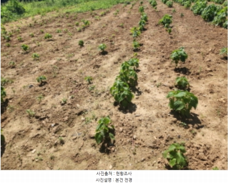 2024타경551097 인천광역시 서구 시천동 74-10 농지 경매 이미지
