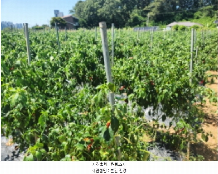 2024타경551097 인천광역시 서구 시천동 74-10 농지 경매 이미지