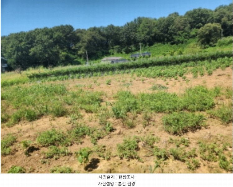 2024타경551097 인천광역시 서구 시천동 74-10 농지 경매 이미지