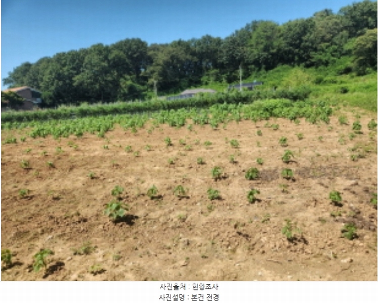 2024타경551097 인천광역시 서구 시천동 74-10 농지 경매 이미지