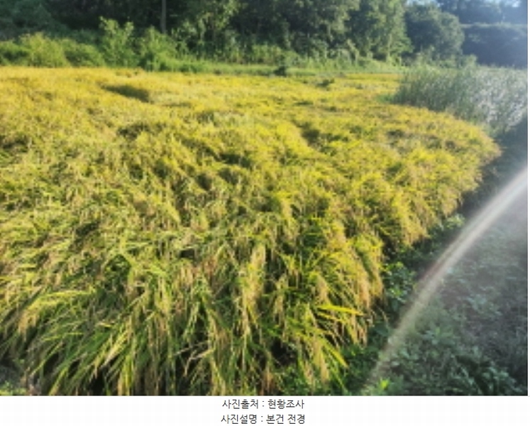 2024타경560008 인천광역시 강화군 삼산면 매음리 952 농지 경매 이미지