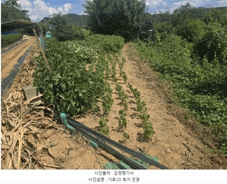 2025타경1020 경상북도 경산시 자인면 울옥리 71 대지 경매 이미지