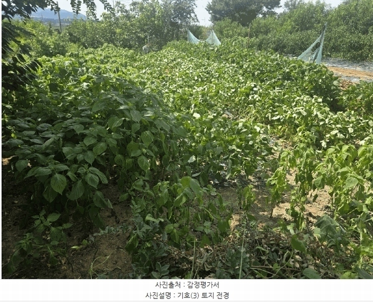 2025타경1020 경상북도 경산시 자인면 울옥리 71 대지 경매 이미지