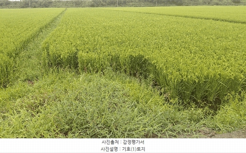 2025타경1135 충청남도 서천군 서천읍 두왕리 32-10 농지 경매 이미지