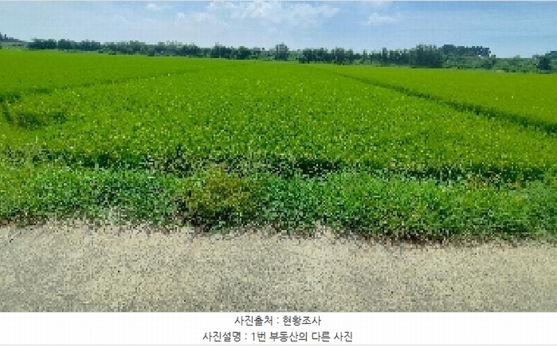 2025타경1135 충청남도 서천군 서천읍 두왕리 32-10 농지 경매 이미지