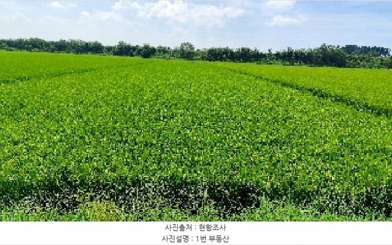 2025타경1135 충청남도 서천군 서천읍 두왕리 32-10 농지 경매 이미지