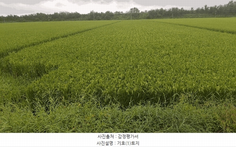 2025타경1135 충청남도 서천군 서천읍 두왕리 32-10 농지 경매 이미지