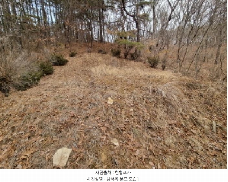 2025타경501785 세종특별자치시 금남면 영치리 산6-1 임야 경매 이미지