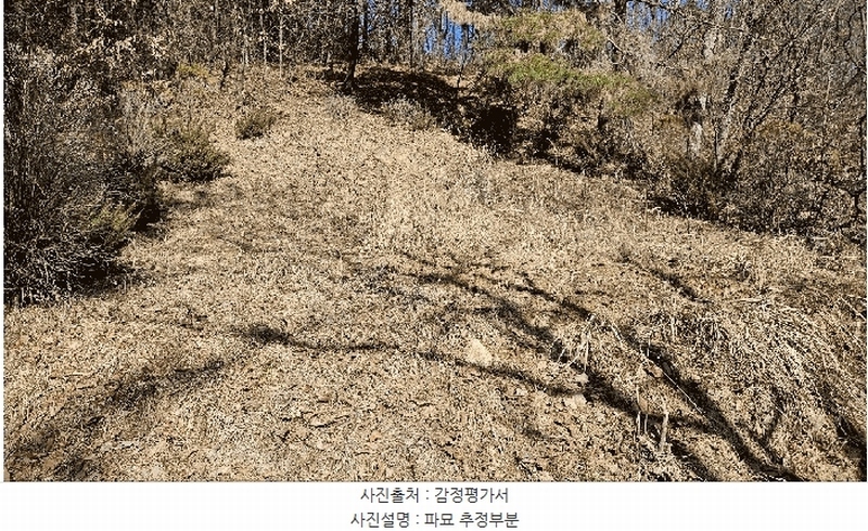 2025타경501785 세종특별자치시 금남면 영치리 산6-1 임야 경매 이미지