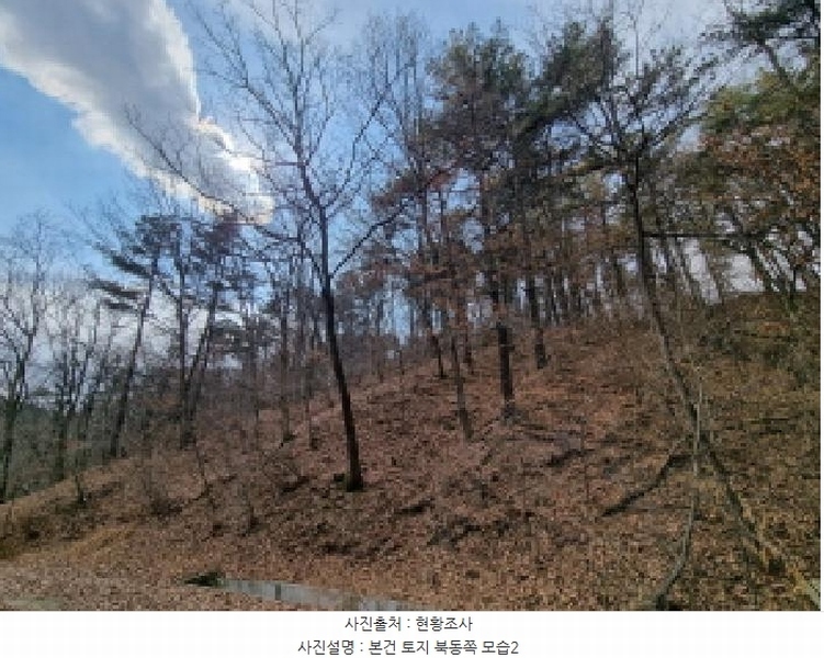 2025타경501785 세종특별자치시 금남면 영치리 산6-1 임야 경매 이미지