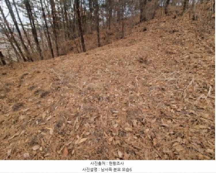 2025타경501785 세종특별자치시 금남면 영치리 산6-1 임야 경매 이미지