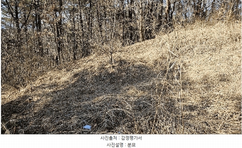 2025타경501785 세종특별자치시 금남면 영치리 산6-1 임야 경매 이미지