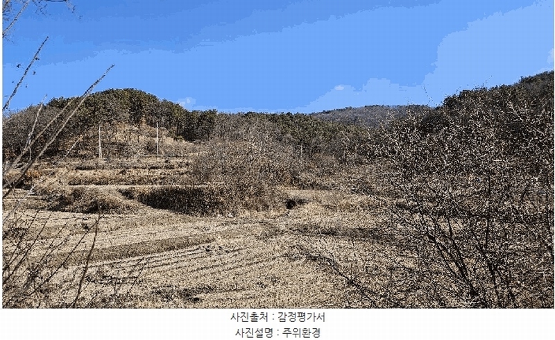2025타경501785 세종특별자치시 금남면 영치리 산6-1 임야 경매 이미지