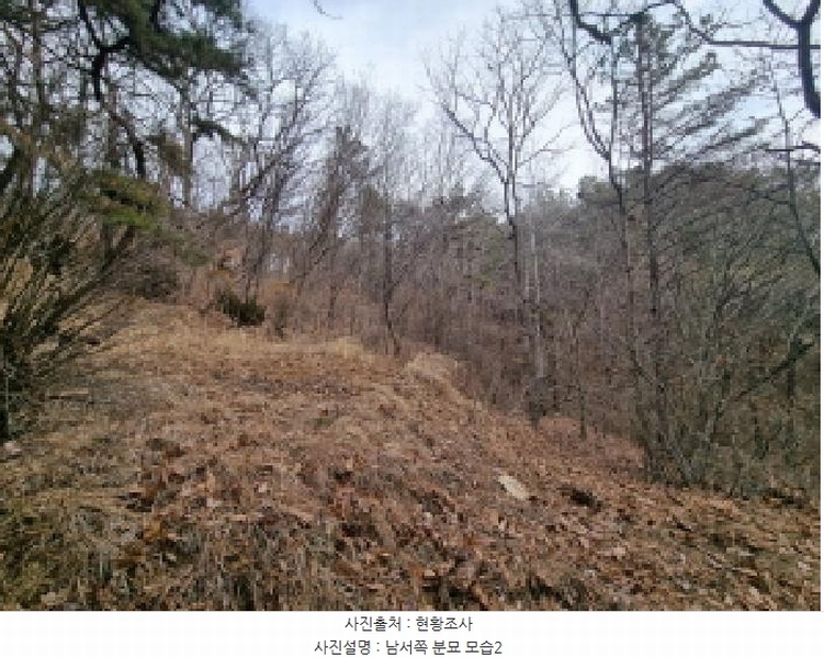 2025타경501785 세종특별자치시 금남면 영치리 산6-1 임야 경매 이미지
