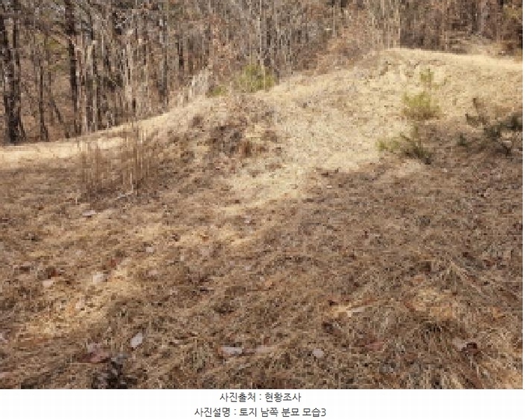 2025타경501785 세종특별자치시 금남면 영치리 산6-1 임야 경매 이미지