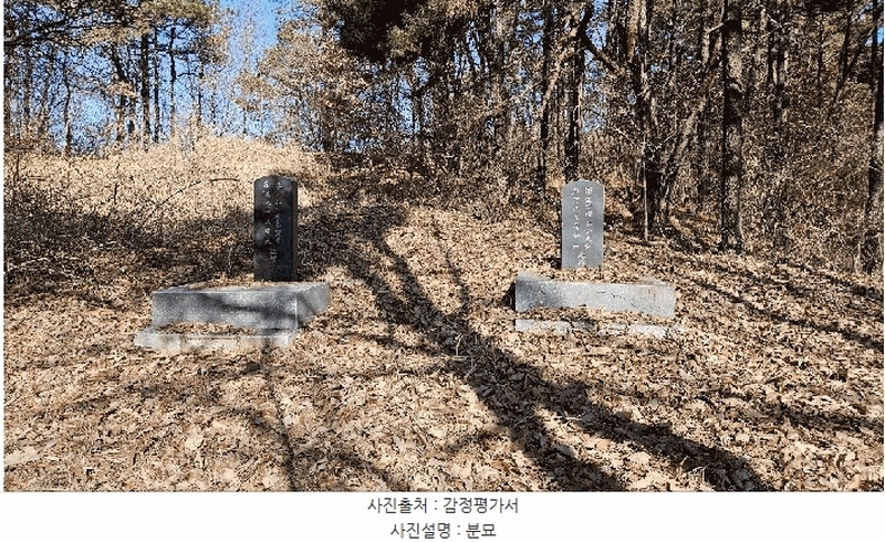 2025타경501785 세종특별자치시 금남면 영치리 산6-1 임야 경매 이미지