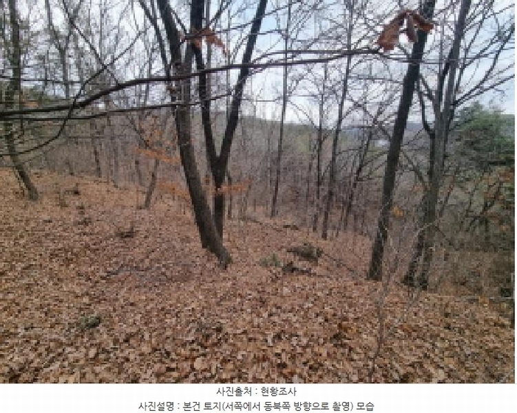 2025타경501785 세종특별자치시 금남면 영치리 산6-1 임야 경매 이미지