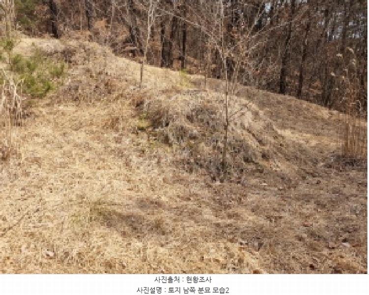 2025타경501785 세종특별자치시 금남면 영치리 산6-1 임야 경매 이미지