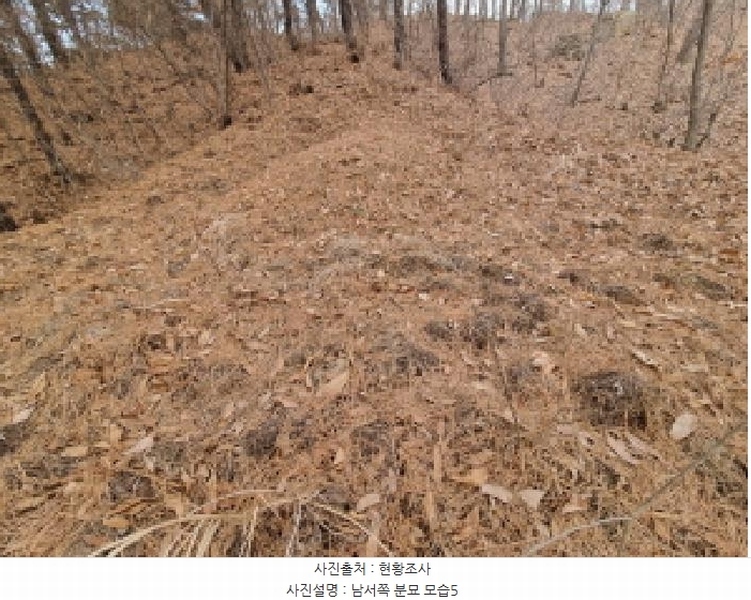 2025타경501785 세종특별자치시 금남면 영치리 산6-1 임야 경매 이미지