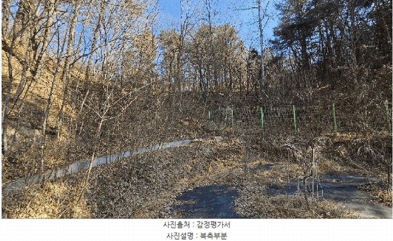 2025타경501785 세종특별자치시 금남면 영치리 산6-1 임야 경매 이미지