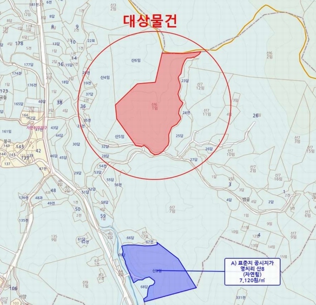 2025타경501785 세종특별자치시 금남면 영치리 산6-1 임야 경매 이미지