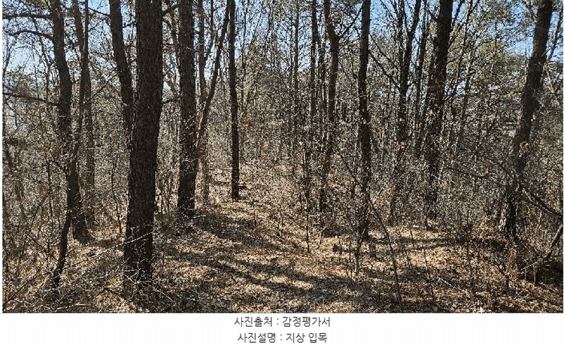 2025타경501785 세종특별자치시 금남면 영치리 산6-1 임야 경매 이미지