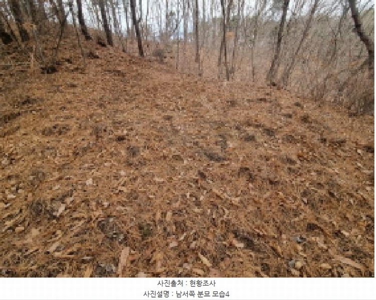 2025타경501785 세종특별자치시 금남면 영치리 산6-1 임야 경매 이미지