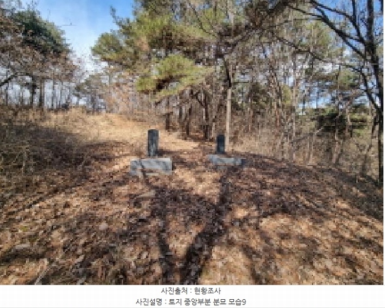 2025타경501785 세종특별자치시 금남면 영치리 산6-1 임야 경매 이미지
