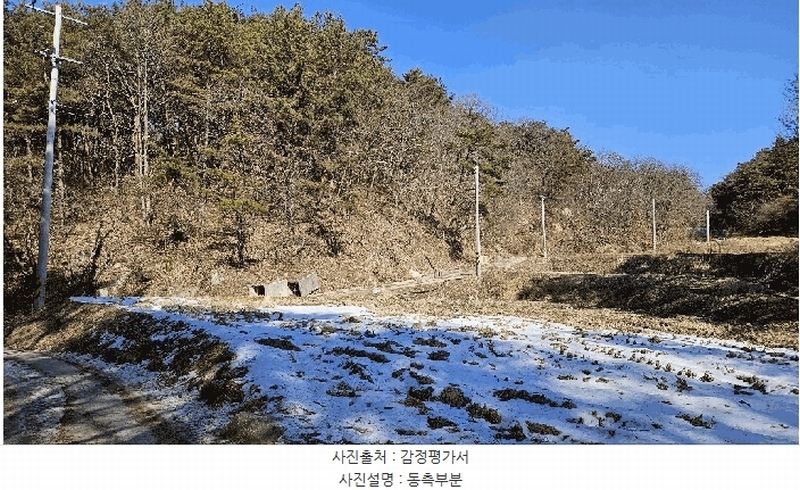 2025타경501785 세종특별자치시 금남면 영치리 산6-1 임야 경매 이미지